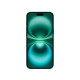 iPhone 16 Plus 128GB Teal