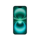 iPhone 16 Plus 512GB Teal