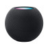 HomePod mini - Space Gray