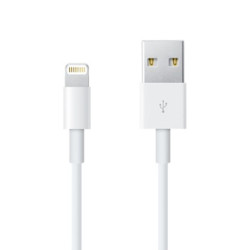 Lightning to USB Cable (0.5 m)