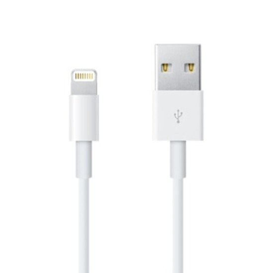 Lightning to USB Cable (0.5 m)