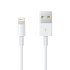Lightning to USB Cable (0.5 m)