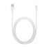 Lightning to USB Cable (2 m)
